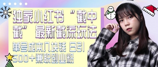 最新小红书截流玩法 独家截中截 单号成本几块钱 日引500+CY粉JZ粉-轻松搞定副业 - 高效赚钱方法和建议