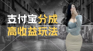 支付宝分成计划新玩法，利用交通事故视频，赚收益，轻松月入过W，操作简单【揭秘】-轻松搞定副业 - 高效赚钱方法和建议