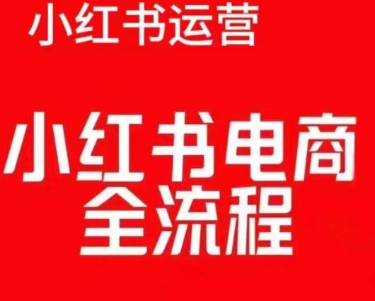 红薯电商实操课，小红书电商全流程-轻松搞定副业 - 高效赚钱方法和建议