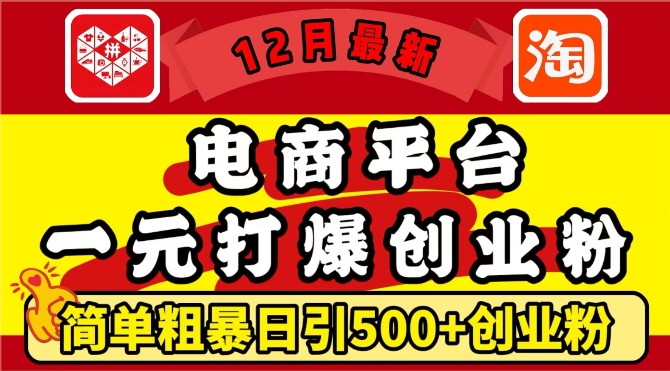 12月最新：电商平台1元打爆创业粉，简单粗暴日引500+精准创业粉，轻松月入过W【揭秘】-轻松搞定副业 - 高效赚钱方法和建议
