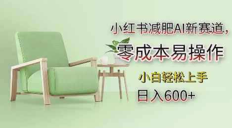 小红书减肥AI新赛道，零成本易操作，日入多张，小白轻松上手【揭秘】-轻松搞定副业 - 高效赚钱方法和建议