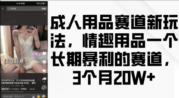 成人用品赛道新玩法，情趣用品一个长期暴利的赛道，3个月收益20个【揭秘】-轻松搞定副业 - 高效赚钱方法和建议