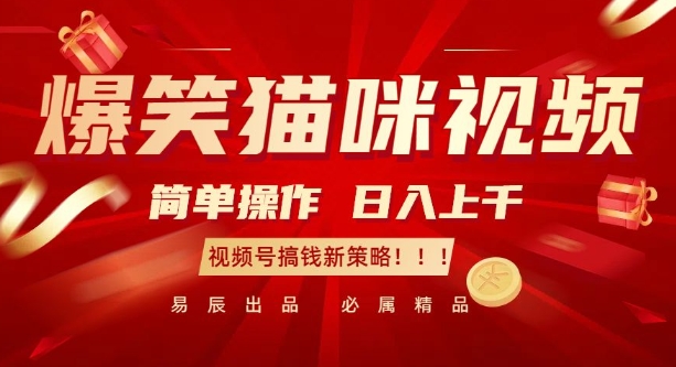 爆笑猫咪视频：简单操作，日入过K，视频号搞钱新策略【揭秘】-轻松搞定副业 - 高效赚钱方法和建议