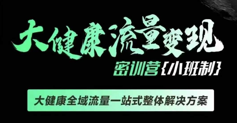 千万级大健康变现课线下课，大健康全域流量一站式整体解决方案-轻松搞定副业 - 高效赚钱方法和建议