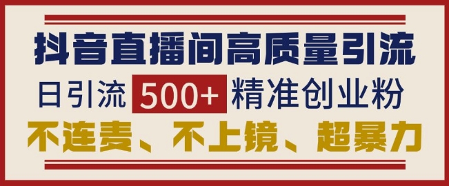 抖音直播间引流创业粉，无需连麦、不用上镜、超暴力，日引流500+高质量精准创业粉-轻松搞定副业 - 高效赚钱方法和建议
