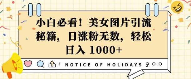 小白必看，美女图片引流秘籍，日涨粉无数，轻松日入几张【揭秘】-轻松搞定副业 - 高效赚钱方法和建议