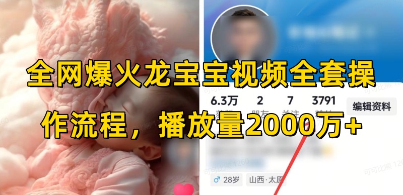 全网爆火龙宝宝视频全套操作流程，播放量2000万+-轻松搞定副业 - 高效赚钱方法和建议