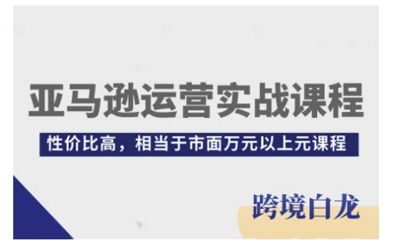 亚马逊运营实战课程，亚马逊从入门到精通，性价比高，相当于市面万元以上元课程-轻松搞定副业 - 高效赚钱方法和建议