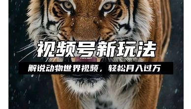利用动物世界解说视频，赚分成计划收益，轻松月入过W，操作简单【揭秘】-轻松搞定副业 - 高效赚钱方法和建议