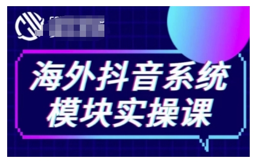 海外抖音Tiktok系统模块实操课，TK短视频带货，TK直播带货，TK小店端实操等-轻松搞定副业 - 高效赚钱方法和建议