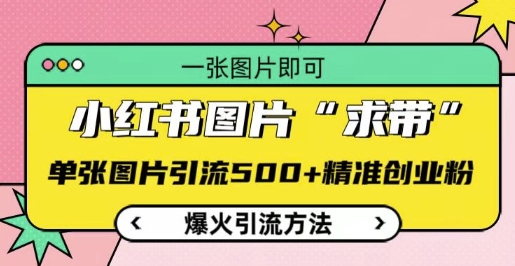小红书图片‘求带’爆火引流法，单张图片引流500+精准创业粉【揭秘】-轻松搞定副业 - 高效赚钱方法和建议