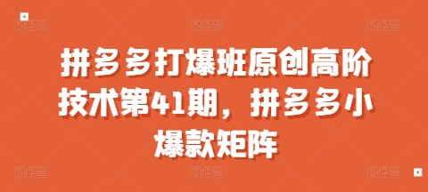 拼多多打爆班原创高阶技术第41期，拼多多小爆款矩阵-轻松搞定副业 - 高效赚钱方法和建议