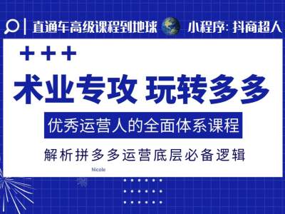 术业专攻玩转多多，优秀运营人的全面体系课程，解析拼多多运营底层必备逻辑-轻松搞定副业 - 高效赚钱方法和建议