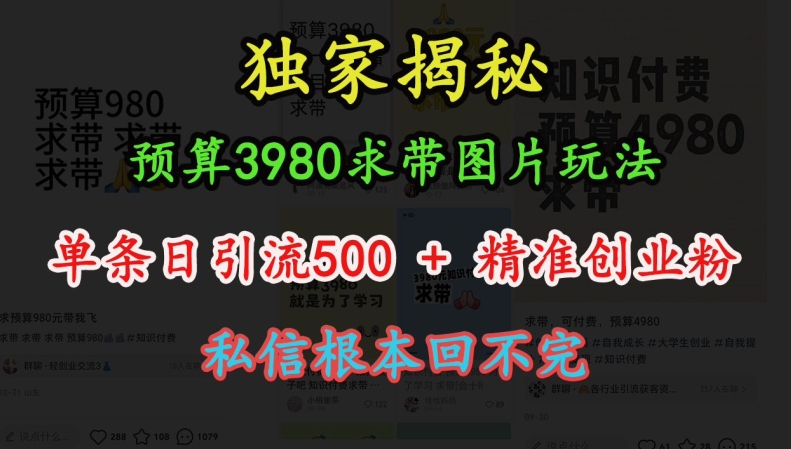 预算3980求带 图片玩法，单条日引流500+精准创业粉，私信根本回不完-轻松搞定副业 - 高效赚钱方法和建议