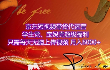 京东短视频带货代运营，学生党、宝妈党超级福利，只需每天无脑上传视频，月入8000+【仅揭秘】-轻松搞定副业 - 高效赚钱方法和建议