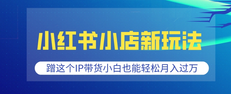 小红书小店新玩法，蹭这个IP带货，小白也能轻松月入过W【揭秘】-轻松搞定副业 - 高效赚钱方法和建议