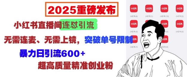 2025重磅发布：小红书直播间连怼引流，无需连麦、无需上镜，突破单号限制，暴力日引流600+-轻松搞定副业 - 高效赚钱方法和建议