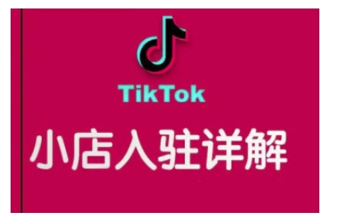 TikTok跨境小店运营全攻略，帮助你独立运营TK跨境小店的能力，实现销量增长-轻松搞定副业 - 高效赚钱方法和建议