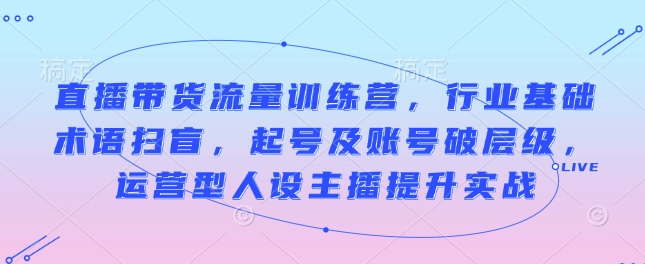 直播带货流量训练营，行业基础术语扫盲，起号及账号破层级，运营型人设主播提升实战-轻松搞定副业 - 高效赚钱方法和建议