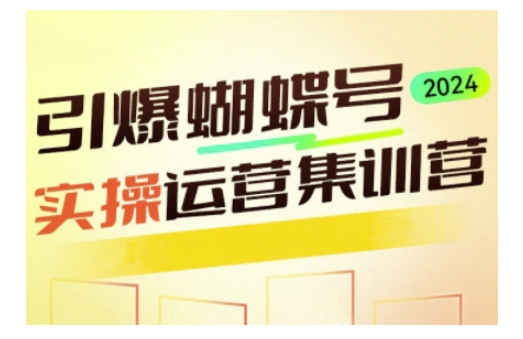 引爆蝴蝶号实操运营，助力你深度掌握蝴蝶号运营，实现高效实操，开启流量变现之路-轻松搞定副业 - 高效赚钱方法和建议