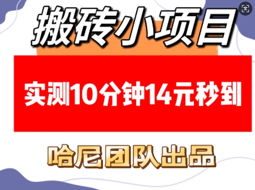 搬砖小项目，实测10分钟14元秒到，每天稳定几张(赠送必看稳定)-轻松搞定副业 - 高效赚钱方法和建议