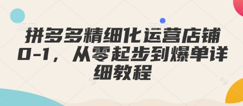 拼多多精细化运营店铺0-1，从零起步到爆单详细教程-轻松搞定副业 - 高效赚钱方法和建议