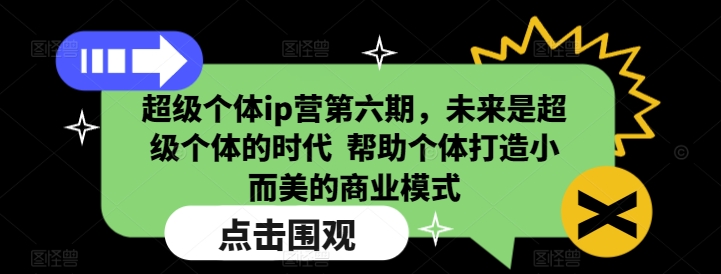 超级个体ip营第六期，未来是超级个体的时代  帮助个体打造小而美的商业模式-轻松搞定副业 - 高效赚钱方法和建议