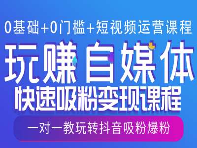 0基础+0门槛+短视频运营课程，玩赚自媒体快速吸粉变现课程，一对一教玩转抖音吸粉爆粉-轻松搞定副业 - 高效赚钱方法和建议
