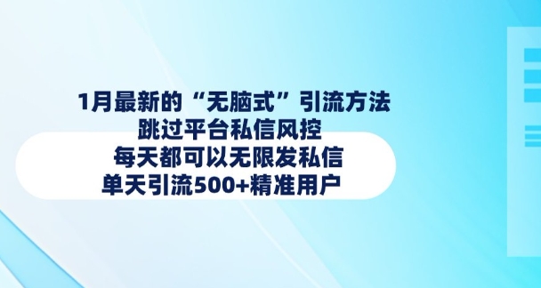 1月最新的无脑式引流方法，跳过平台私信风控，每天都可以无限发私信，单天引流500+精准用户-轻松搞定副业 - 高效赚钱方法和建议