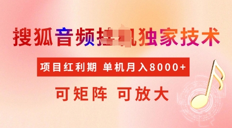 全网首发搜狐音频挂JI独家技术，项目红利期，可矩阵可放大，稳定月入8k【揭秘】-轻松搞定副业 - 高效赚钱方法和建议