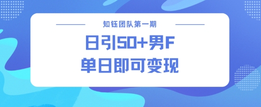 男粉引流新方法不违规，当日即可变现-轻松搞定副业 - 高效赚钱方法和建议