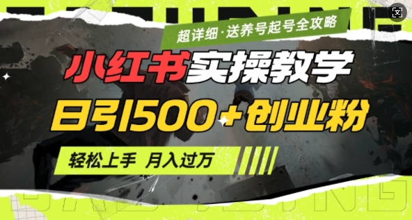 2月小红书最新日引500+创业粉实操教学【超详细】小白轻松上手，月入1W+，附小红书养号起号SOP-轻松搞定副业 - 高效赚钱方法和建议