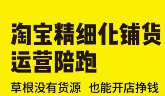 淘宝精细化铺货运营陪跑(部分更新至2025)，草根没有货源 也能开店挣钱-轻松搞定副业 - 高效赚钱方法和建议