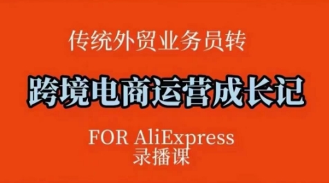 跨境电商速卖通运营课，​运营方法论+后台实操，逻辑清晰-轻松搞定副业 - 高效赚钱方法和建议