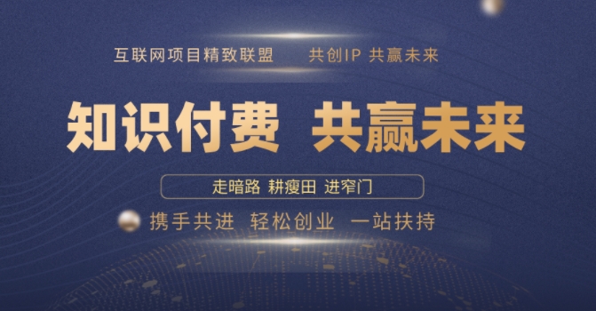 别人苦寻无果，为何他们靠知识付费卖项目 2025 年轻松年入100个?【揭秘】-轻松搞定副业 - 高效赚钱方法和建议