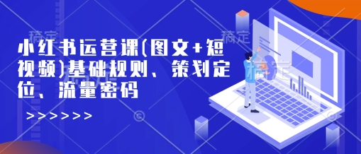 小红书运营课(图文+短视频)基础规则、策划定位、流量密码-轻松搞定副业 - 高效赚钱方法和建议