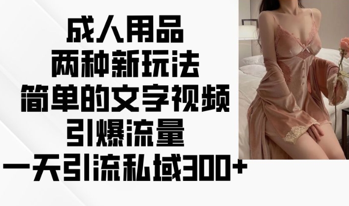 成人用品两种新玩法，简单的文字视频引爆流量，一天引流私域300+-轻松搞定副业 - 高效赚钱方法和建议