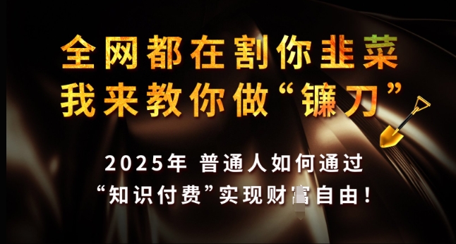 全网都在割你韭菜，我来教你做镰刀，2025年普通人如何通过 知识付费 实现财F自由【揭秘】-轻松搞定副业 - 高效赚钱方法和建议