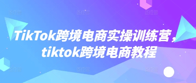 TikTok跨境电商实操训练营，tiktok跨境电商教程-轻松搞定副业 - 高效赚钱方法和建议