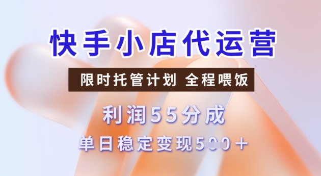 快手小店代运营3.0，模式新升级，收益55分，稳定单日5张【揭秘】-轻松搞定副业 - 高效赚钱方法和建议