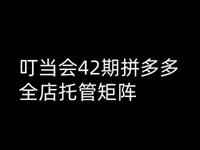 叮当会拼多多打爆班原创高阶技术第42期，拼多多全店托管矩阵-轻松搞定副业 - 高效赚钱方法和建议