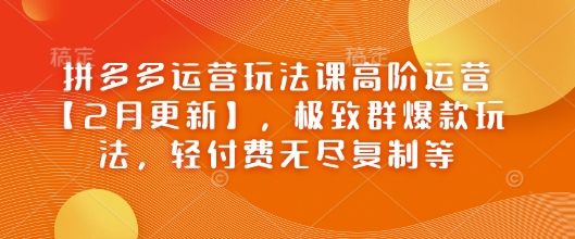 拼多多运营玩法课高阶运营【2月更新】，极致群爆款玩法，轻付费无尽复制等-轻松搞定副业 - 高效赚钱方法和建议