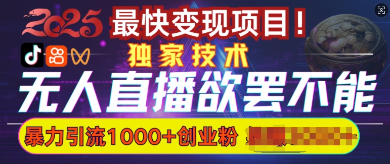 欲罢不能的无人直播引流，超暴力日引流1000+高质量精准创业粉-轻松搞定副业 - 高效赚钱方法和建议