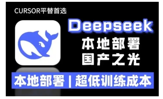 2025年deepseek R1 大型模型本地安装部署(文件+教程)本地部署，超低训练成本-轻松搞定副业 - 高效赚钱方法和建议