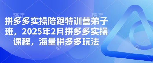 拼多多实操陪跑特训营弟子班，2025年2月拼多多实操课程，海量拼多多玩法-轻松搞定副业 - 高效赚钱方法和建议