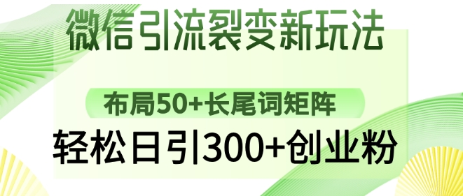 微信引流裂变新玩法：布局50+长尾词矩阵，轻松日引300+创业粉-轻松搞定副业 - 高效赚钱方法和建议