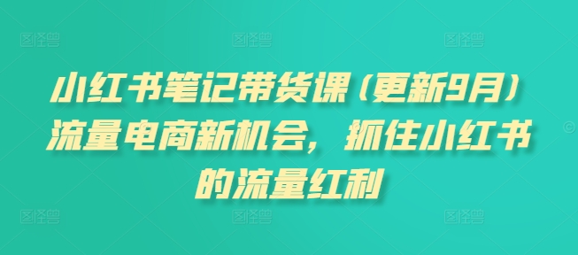 小红书笔记带货课(更新25年3月)流量电商新机会，抓住小红书的流量红利-轻松搞定副业 - 高效赚钱方法和建议
