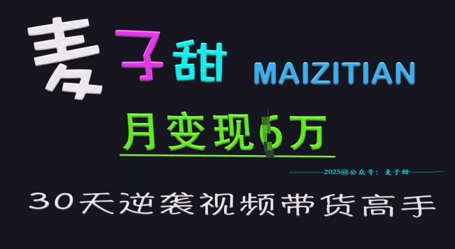 麦子甜30天逆袭视频带货高手，单月变现6W加特训营-轻松搞定副业 - 高效赚钱方法和建议
