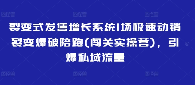 裂变式发售增长系统1场极速动销裂变爆破陪跑(闯关实操营)，引爆私域流量-轻松搞定副业 - 高效赚钱方法和建议