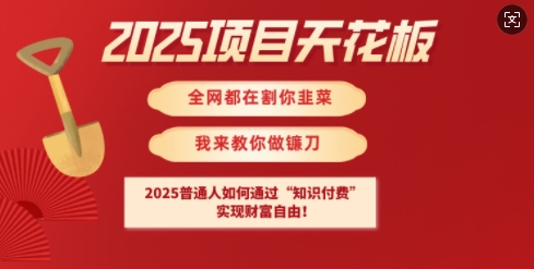2025项目天花板普通人如何通过知识付费，实现财F自由【揭秘】-轻松搞定副业 - 高效赚钱方法和建议